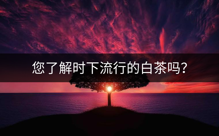 您了解時(shí)下流行的白茶嗎？