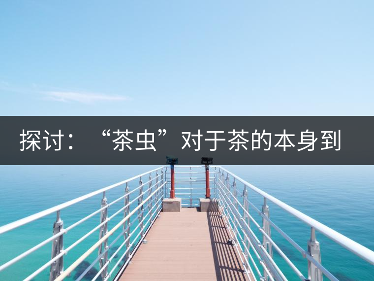 探討：“茶蟲”對(duì)于茶的本身到底是好是壞？