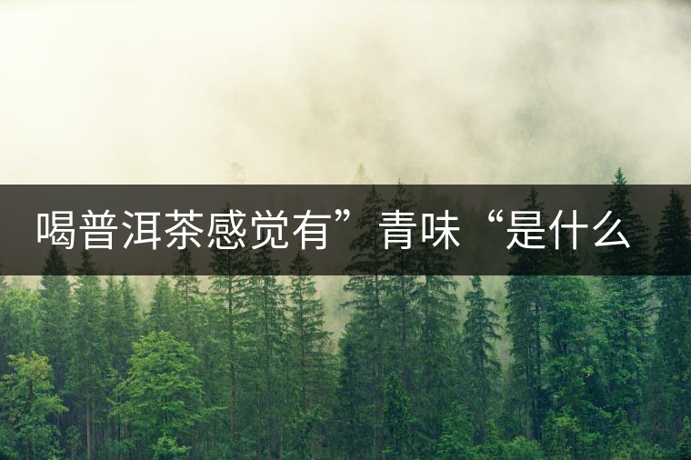 喝普洱茶感覺有”青味“是什么原因? 喝普洱茶感覺有”青味“是什么原因?