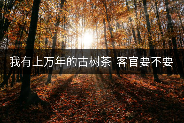 我有上萬年的古樹茶  客官要不要嘗嘗？