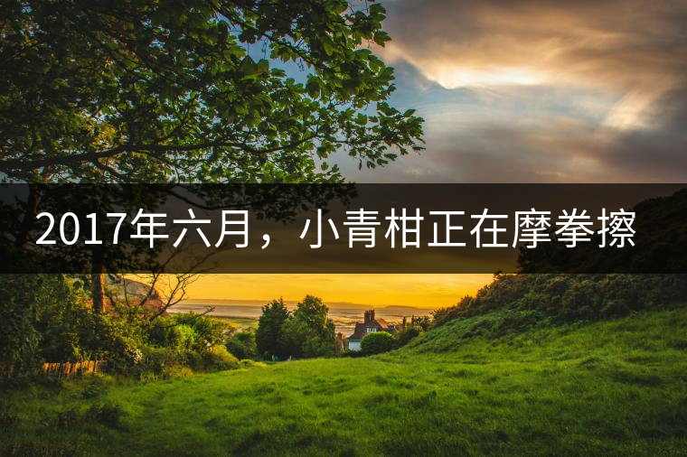 2017年六月，小青柑正在摩拳擦掌