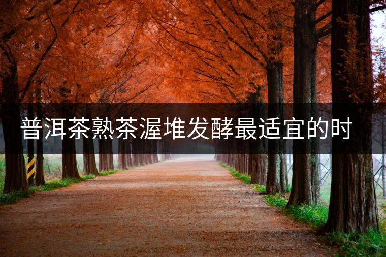 普洱茶熟茶渥堆發(fā)酵最適宜的時期是什么時候？