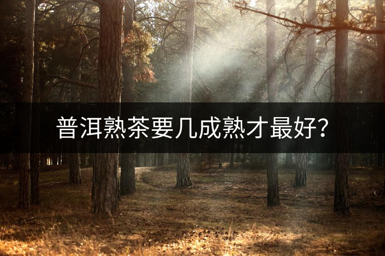 普洱熟茶要幾成熟才最好？