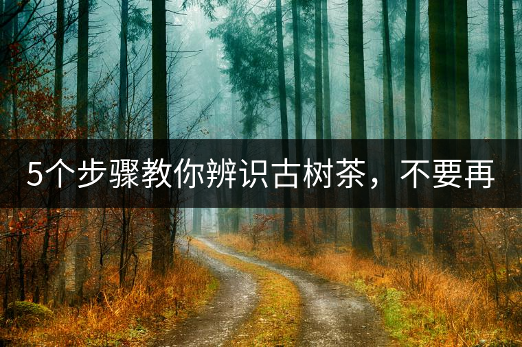 5個(gè)步驟教你辨識(shí)古樹(shù)茶，不要再被騙了！