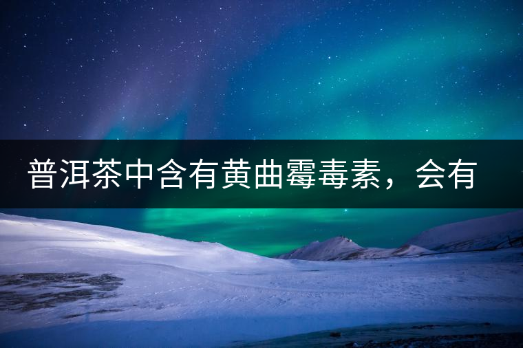 普洱茶中含有黃曲霉毒素，會有致癌的危險？終于有明確的答案了