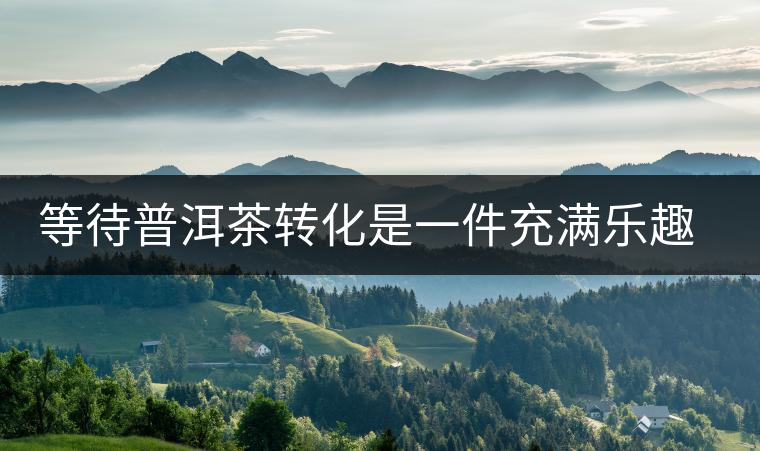 等待普洱茶轉(zhuǎn)化是一件充滿樂趣的事