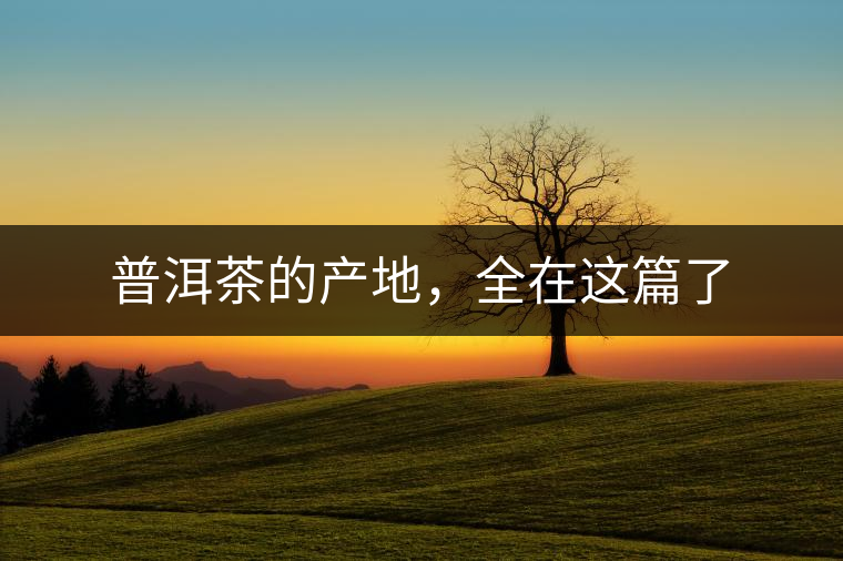 普洱茶的產(chǎn)地，全在這篇了