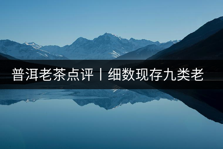 普洱老茶點評丨細數(shù)現(xiàn)存九類老茶的特點