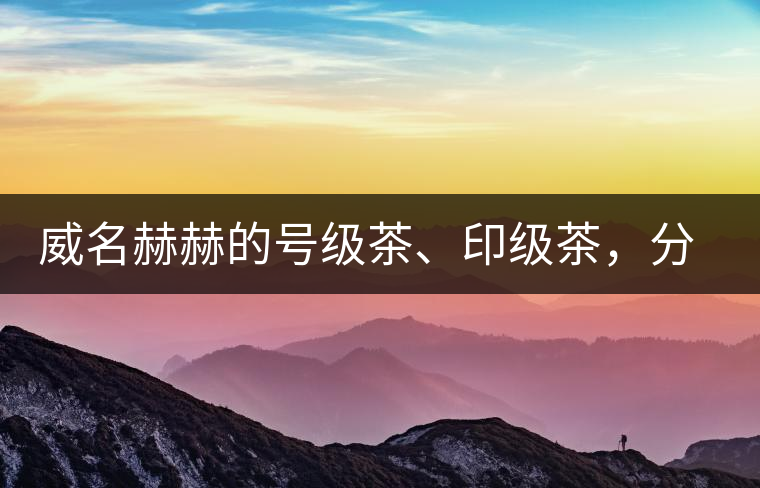 威名赫赫的號級茶、印級茶，分別是些什么普洱茶？
