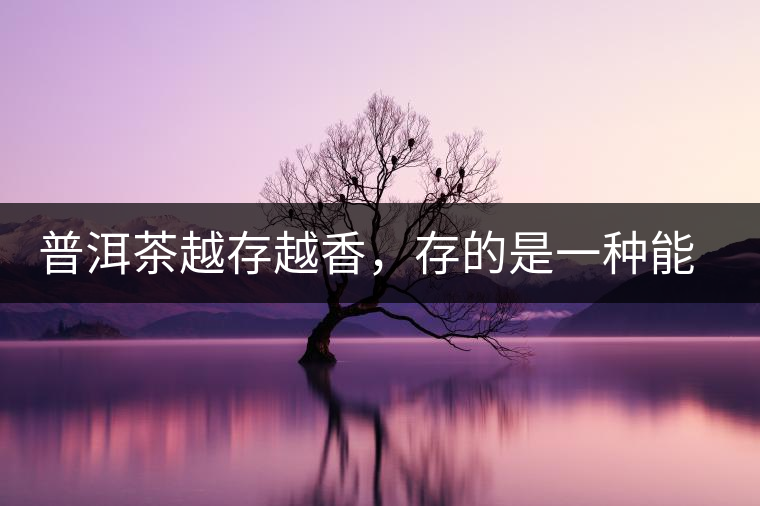 普洱茶越存越香，存的是一種能量