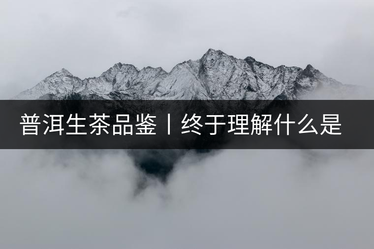 普洱生茶品鑒丨終于理解什么是“醇厚、耐泡，回甘”了