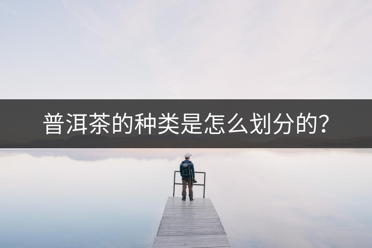 普洱茶的種類是怎么劃分的？