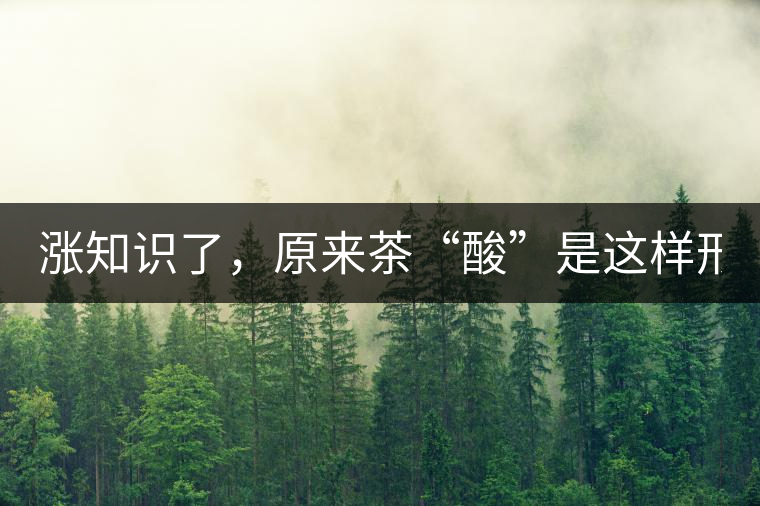 漲知識了，原來茶“酸”是這樣形成的！