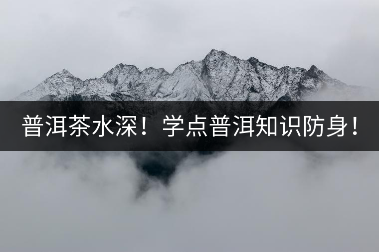 普洱茶水深！學(xué)點普洱知識防身！