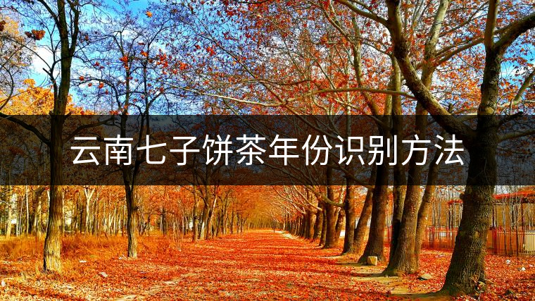 云南七子餅茶年份識別方法 云南七子餅茶年份識別方法