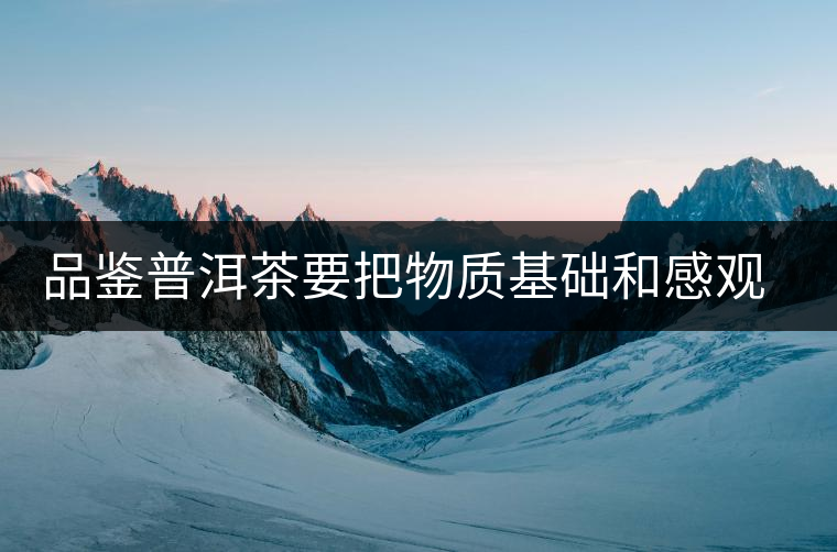 品鑒普洱茶要把物質(zhì)基礎(chǔ)和感觀體驗結(jié)合 品鑒普洱茶要把物質(zhì)基礎(chǔ)和感觀體驗結(jié)合