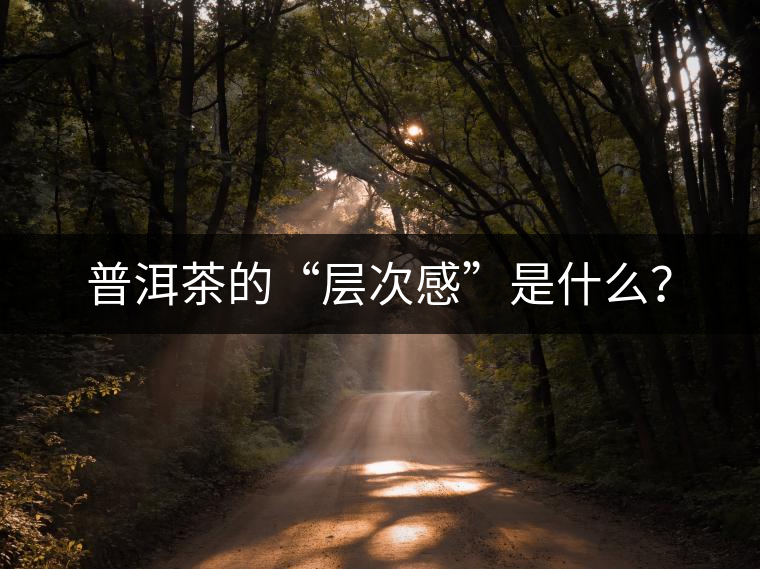 普洱茶的“層次感”是什么？