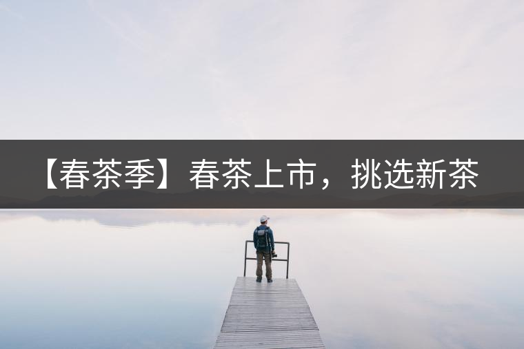 【春茶季】春茶上市，挑選新茶有講究