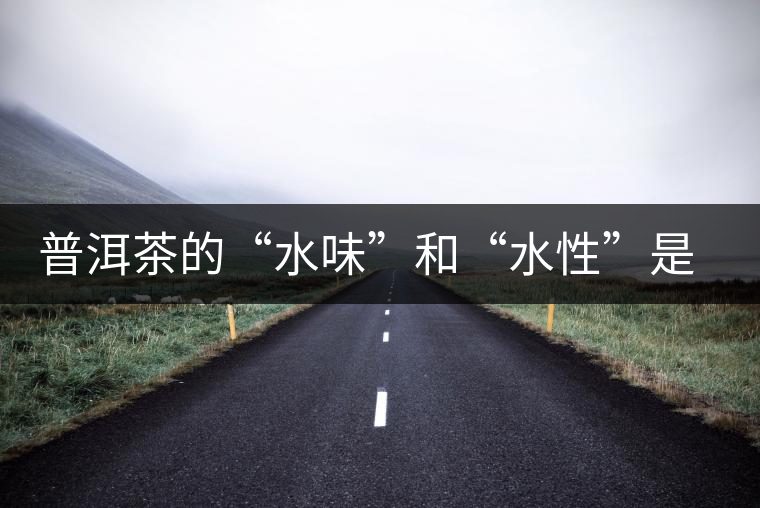 普洱茶的“水味”和“水性”是一種東西還是兩種東西？