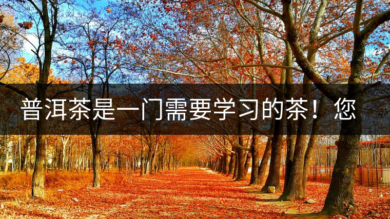 普洱茶是一門需要學(xué)習(xí)的茶！您學(xué)到了多少？看看專家怎么說