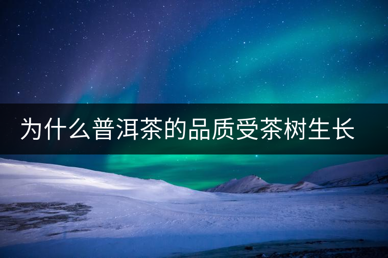 為什么普洱茶的品質(zhì)受茶樹生長環(huán)境的影響？