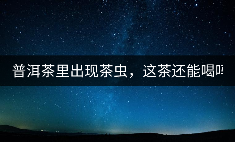 普洱茶里出現(xiàn)茶蟲，這茶還能喝嗎？