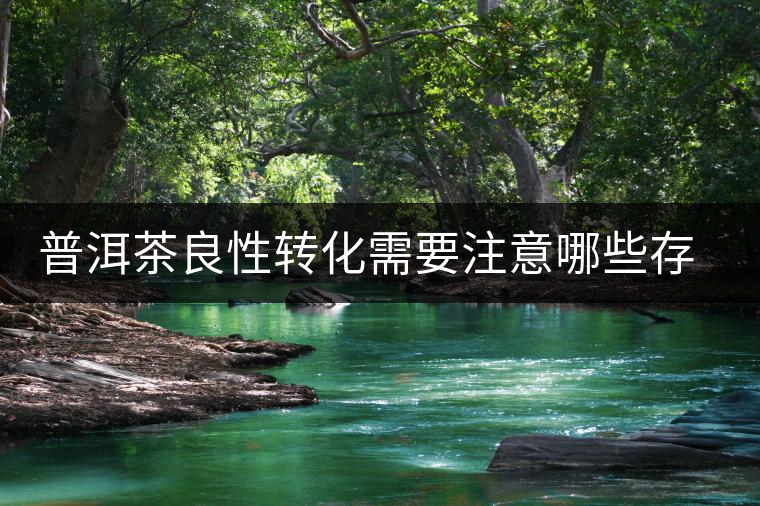 普洱茶良性轉(zhuǎn)化需要注意哪些存放問(wèn)題? 普洱茶良性轉(zhuǎn)化需要注意哪些存放問(wèn)題?