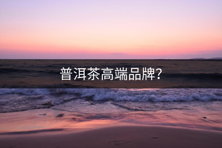普洱茶高端品牌？