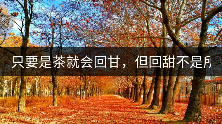 只要是茶就會(huì)回甘，但回甜不是所有茶都有！