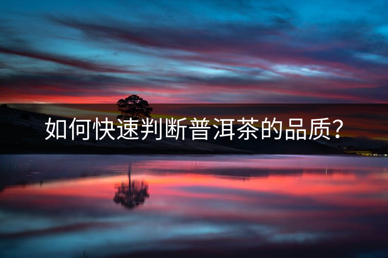 如何快速判斷普洱茶的品質(zhì)？