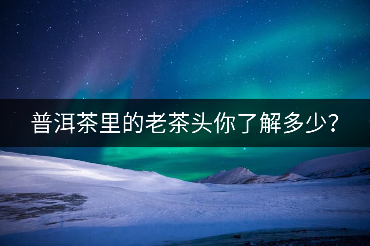 普洱茶里的老茶頭你了解多少？