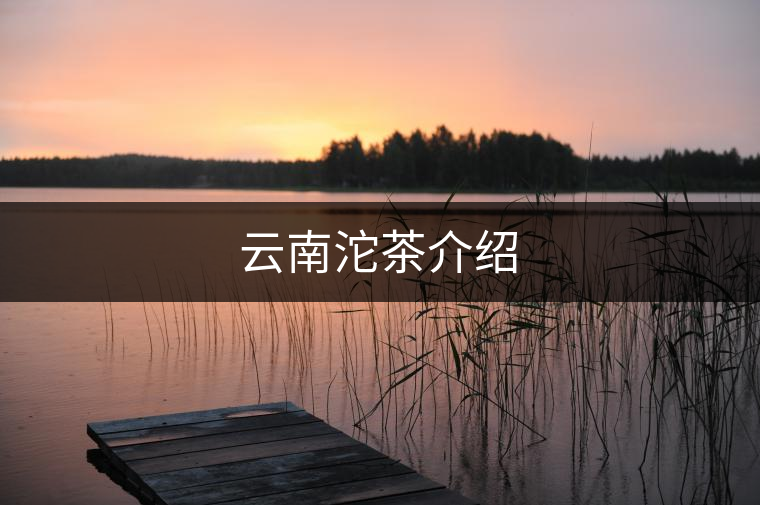 云南沱茶介紹 云南沱茶介紹