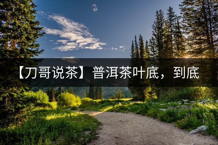 【刀哥說茶】普洱茶葉底，到底藏有多少玄機？