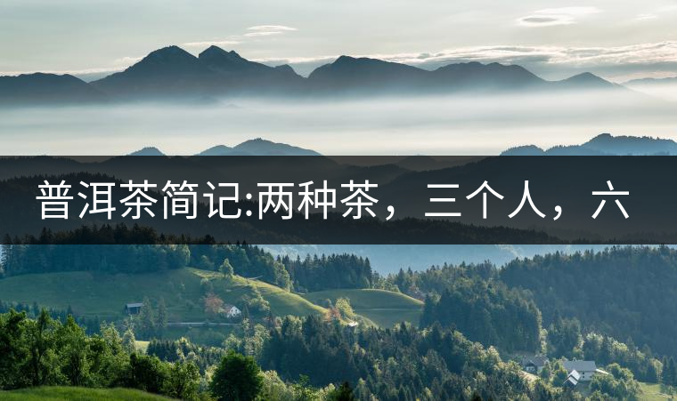 普洱茶簡記:兩種茶，三個人，六座山，七塊餅