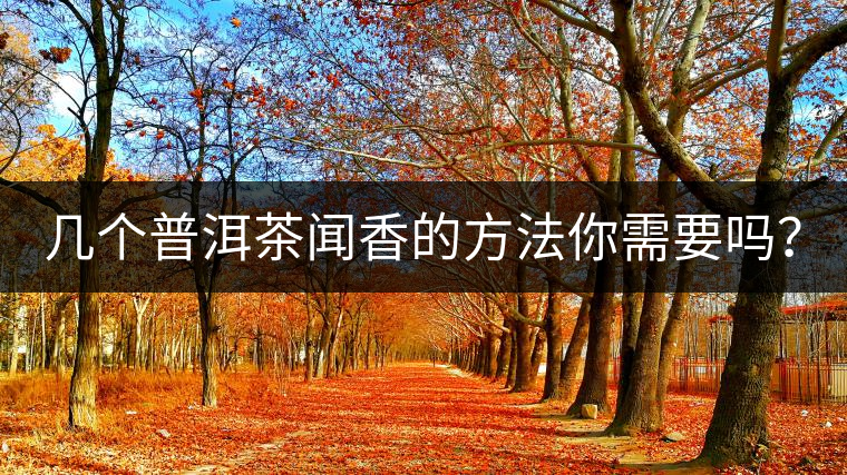 幾個(gè)普洱茶聞香的方法你需要嗎？
