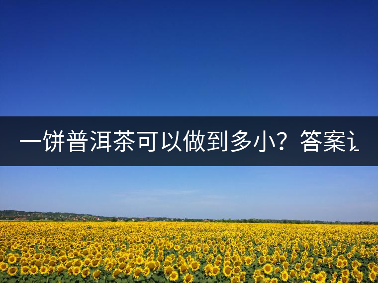 一餅普洱茶可以做到多??？答案讓人意想不到...
