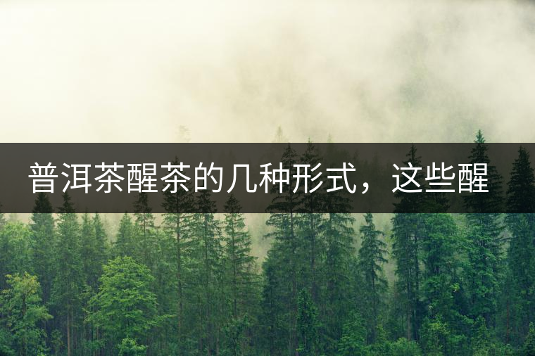 普洱茶醒茶的幾種形式，這些醒茶方法你都會了嗎？