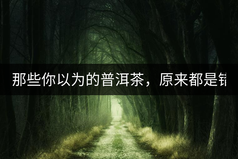 那些你以為的普洱茶，原來都是錯(cuò)的！