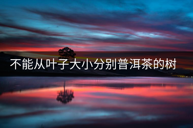 不能從葉子大小分別普洱茶的樹(shù)齡