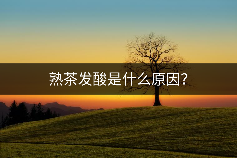 熟茶發(fā)酸是什么原因？