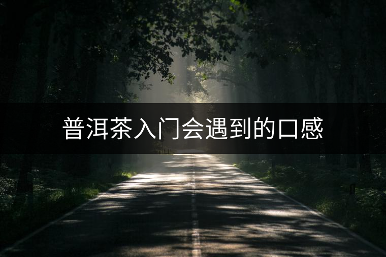 普洱茶入門(mén)會(huì)遇到的口感 普洱茶入門(mén)會(huì)遇到的口感