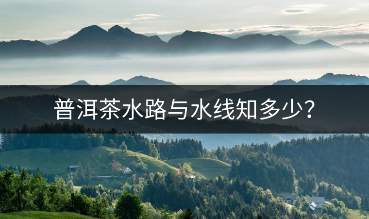 普洱茶水路與水線知多少？