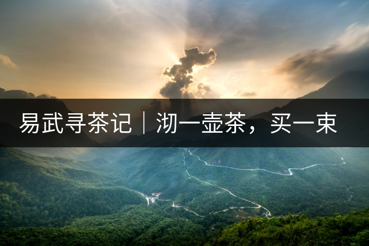 易武尋茶記｜沏一壺茶，買一束花，享半日余暇