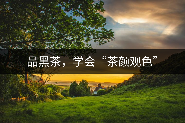 品黑茶，學(xué)會“茶顏觀色”