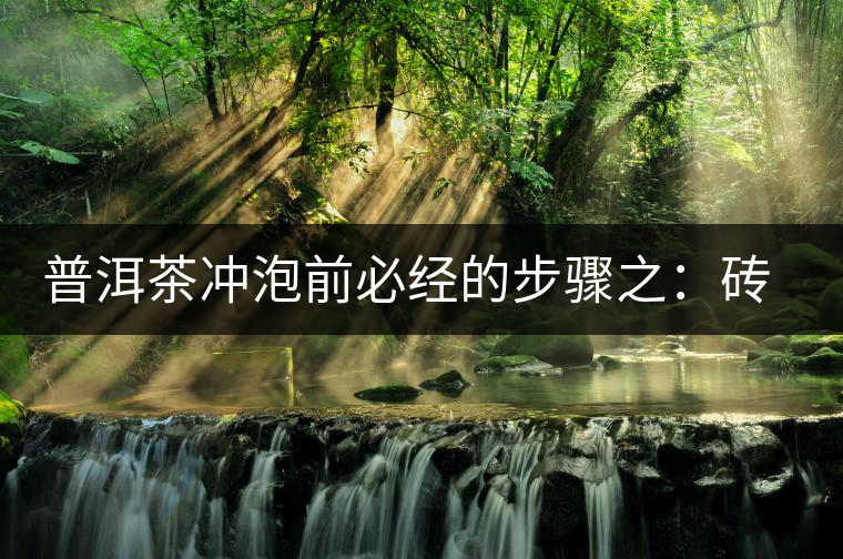 普洱茶沖泡前必經(jīng)的步驟之：磚茶如何撬？