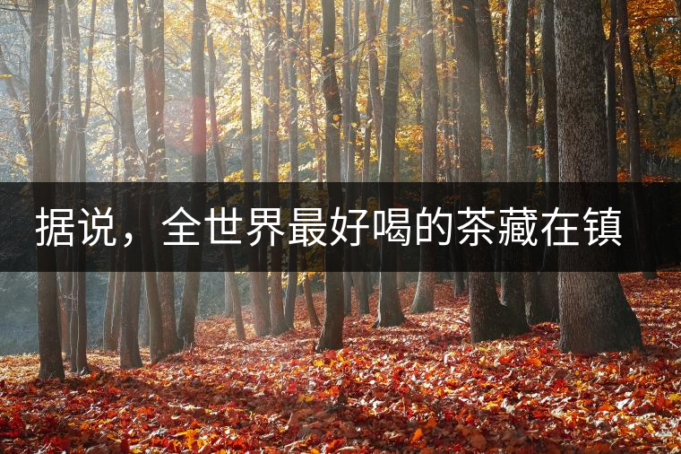 據(jù)說，全世界最好喝的茶藏在鎮(zhèn)沅