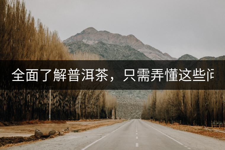 全面了解普洱茶，只需弄懂這些問題！