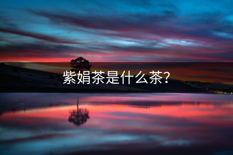 紫娟茶是什么茶？