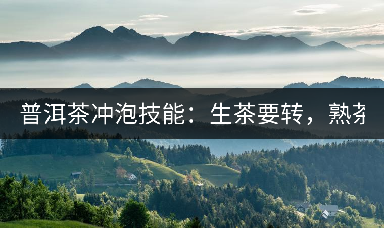 普洱茶沖泡技能：生茶要轉(zhuǎn)，熟茶要柔！