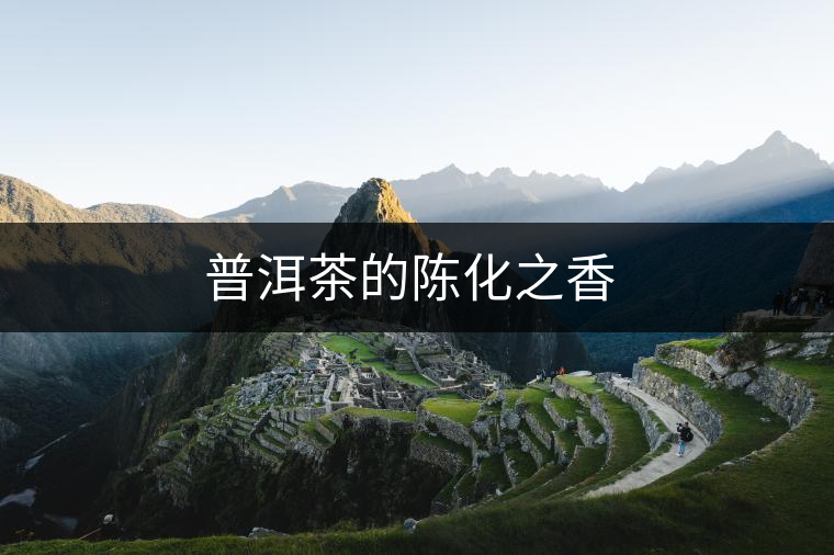 普洱茶的陳化之香 普洱茶的陳化之香
